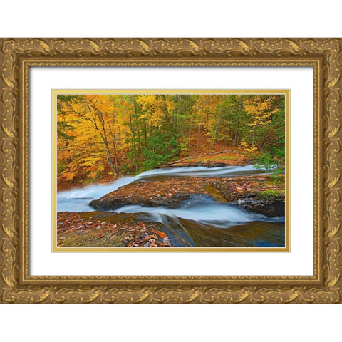 Canada-Ontario-Ullswater Waterfall at Hatchery Falls on the Skeleton River Gold Ornate Wood Framed Art Print with Double Matting by Jaynes Gallery