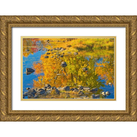 Canada-Ontario-Whitefish Autumn colors reflect in Vermilion River Gold Ornate Wood Framed Art Print with Double Matting by Jaynes Gallery