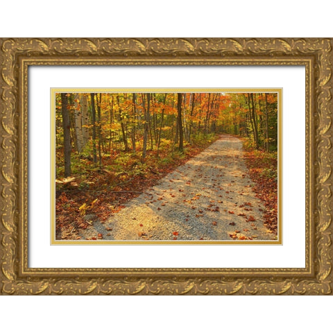 Canada-Ontario-Bruce Peninsula National Park Autumn on the Bruce Trail Gold Ornate Wood Framed Art Print with Double Matting by Jaynes Gallery