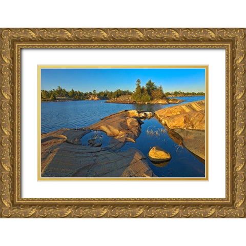 Canada-Ontario-Honey Harbour White pine tree on Precambrian shield rock Gold Ornate Wood Framed Art Print with Double Matting by Jaynes Gallery