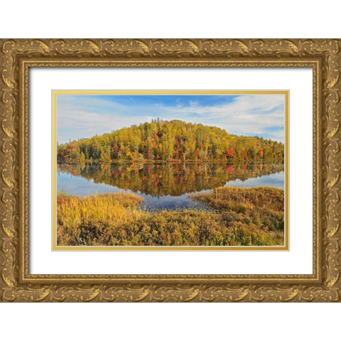 Canada-Ontario-Goulais River Forest reflection in lake Gold Ornate Wood Framed Art Print with Double Matting by Jaynes Gallery