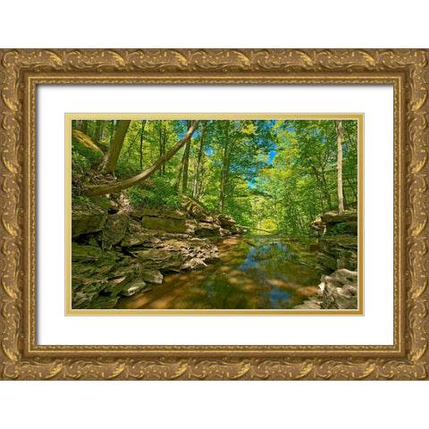 Canada-Ontario-Jordan 16 Mile Creek at Louth Falls Gold Ornate Wood Framed Art Print with Double Matting by Jaynes Gallery