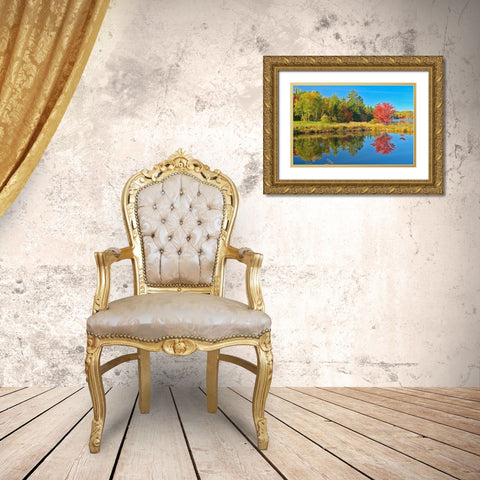 Canada-Ontario-Worthington Red maple tree reflected in St Poithier Lake Gold Ornate Wood Framed Art Print with Double Matting by Jaynes Gallery