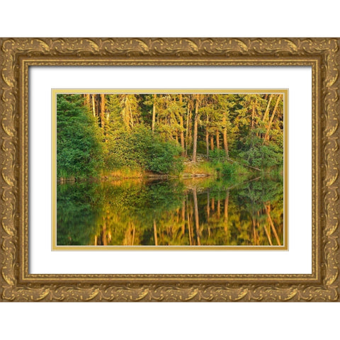 Canada-Ontario Sunset on forest reflected in lake Gold Ornate Wood Framed Art Print with Double Matting by Jaynes Gallery