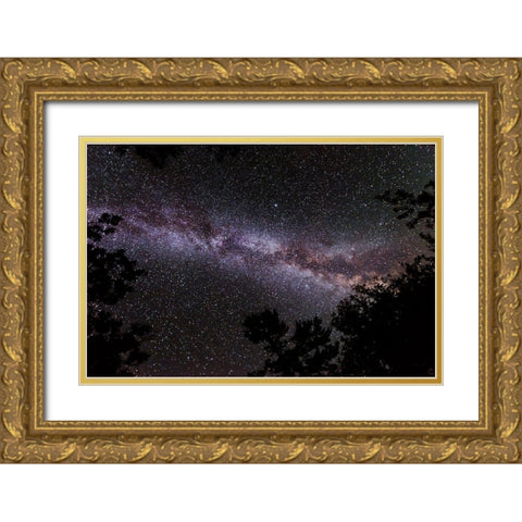 Canada-Ontario-Sioux Narrows Provincial Park-Night sky with Milky Way Gold Ornate Wood Framed Art Print with Double Matting by Jaynes Gallery