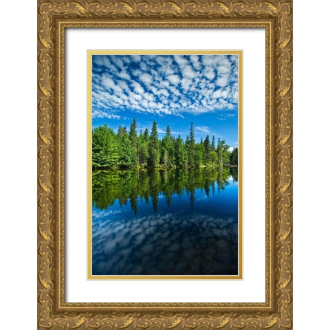 Canada-Ontario-Algonquin Provincial Park-Clouds and boreal forest reflected in Canoe Lake Gold Ornate Wood Framed Art Print with Double Matting by Jaynes Gallery