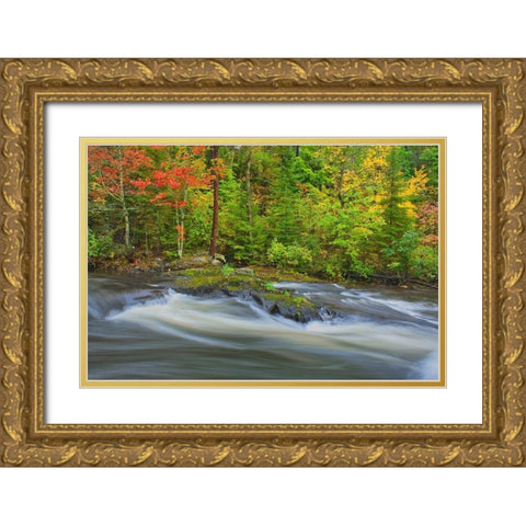 Canada-Ontario Berry Creek landscape Gold Ornate Wood Framed Art Print with Double Matting by Jaynes Gallery