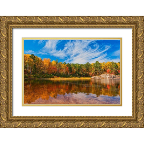 Canada-Ontario-Chutes Provincial Park Reflection on the Aux Sables River in autumn Gold Ornate Wood Framed Art Print with Double Matting by Jaynes Gallery