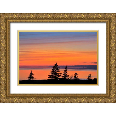 Canada, West Cape Trees on Prince Edward Island Gold Ornate Wood Framed Art Print with Double Matting by Grandmaison, Mike