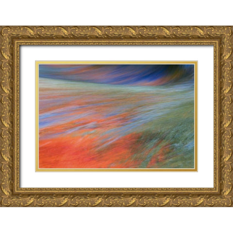 Canada, Quebec Autumn on the Riviere du Nord Gold Ornate Wood Framed Art Print with Double Matting by Delisle, Gilles