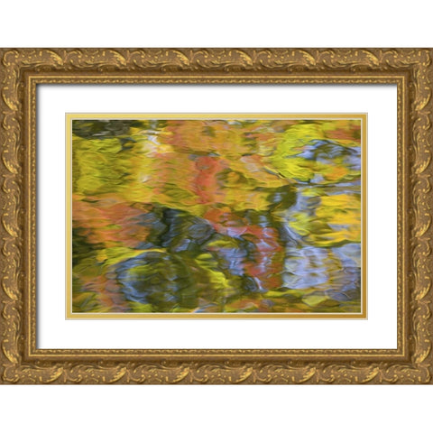 Quebec, Canada Autumn reflects on water patterns Gold Ornate Wood Framed Art Print with Double Matting by Delisle, Gilles