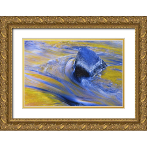 Canada, Quebec Fall colors reflecting on a river Gold Ornate Wood Framed Art Print with Double Matting by Delisle, Gilles