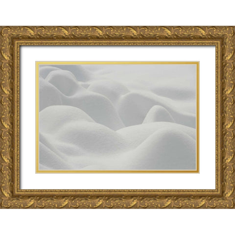Canada, Quebec Shapes formed in fresh snow Gold Ornate Wood Framed Art Print with Double Matting by Delisle, Gilles