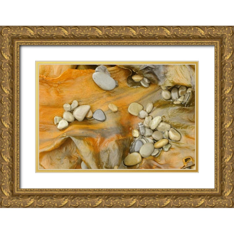 Canada, Quebec, Forillon NP Pebbles on seaweed Gold Ornate Wood Framed Art Print with Double Matting by Grandmaison, Mike