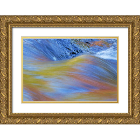 Canada, Quebec Autumn along Riviere du Nord Gold Ornate Wood Framed Art Print with Double Matting by Delisle, Gilles