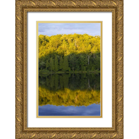 Canada, Quebec, Sunset on Lake Long Pond Gold Ornate Wood Framed Art Print with Double Matting by Delisle, Gilles