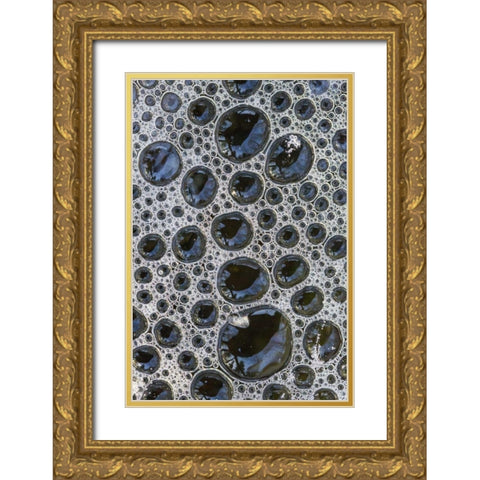 Canada, Quebec Foam caught under ice Gold Ornate Wood Framed Art Print with Double Matting by Delisle, Gilles