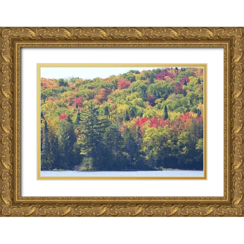 Canada, Quebec Fall colors along Lake Monroe Gold Ornate Wood Framed Art Print with Double Matting by Delisle, Gilles
