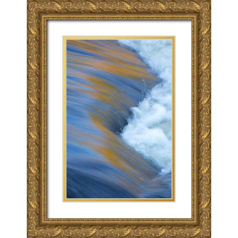 Canada, Quebec Autumn along Riviere du Nord Gold Ornate Wood Framed Art Print with Double Matting by Delisle, Gilles