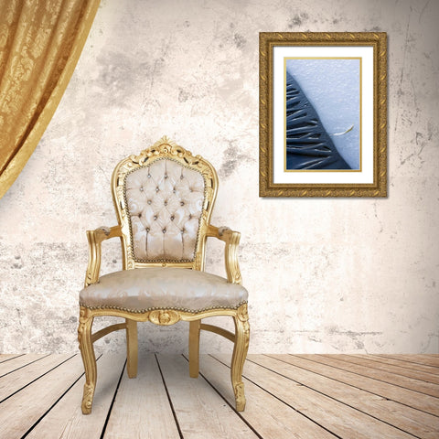 Canada, Quebec, Lakeshore ice Gold Ornate Wood Framed Art Print with Double Matting by Delisle, Gilles
