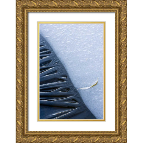 Canada, Quebec, Lakeshore ice Gold Ornate Wood Framed Art Print with Double Matting by Delisle, Gilles