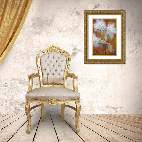 Canada, Quebec, Milkweed releasing seeds Gold Ornate Wood Framed Art Print with Double Matting by Delisle, Gilles