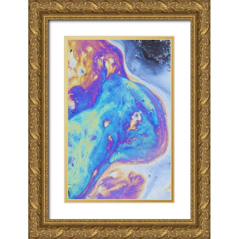 Canada, Quebec, Natural plant oil display Gold Ornate Wood Framed Art Print with Double Matting by Delisle, Gilles