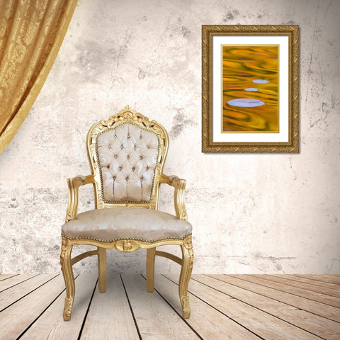 Canada, Quebec, Water lily pad and fall colors Gold Ornate Wood Framed Art Print with Double Matting by Delisle, Gilles