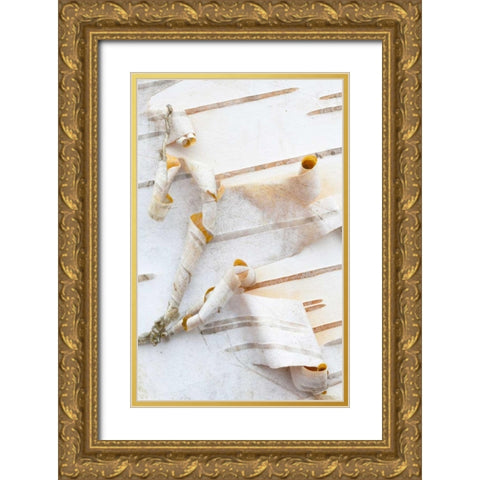 Canada, Mt St-Bruno Park White birch bark detail Gold Ornate Wood Framed Art Print with Double Matting by Delisle, Gilles