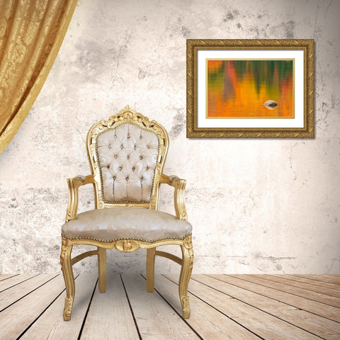Canada-Quebec-La Mauricie National Park Rock and autumn colors reflected in Lac Wapizagonke Gold Ornate Wood Framed Art Print with Double Matting by Jaynes Gallery