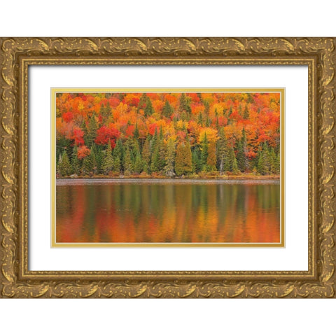 Canada-Quebec-La Mauricie National Park Autumn colors reflected in Lac Ã  Sam Gold Ornate Wood Framed Art Print with Double Matting by Jaynes Gallery