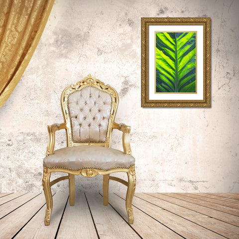 Thailand giant elephant ear-is considered invasive in certain states in the United States Gold Ornate Wood Framed Art Print with Double Matting by Ostrowitz, Mallorie