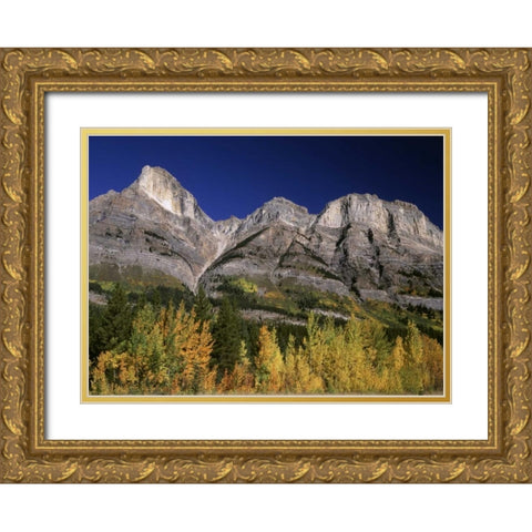 Canada, Saskatchewan, Banff NP Gold Ornate Wood Framed Art Print with Double Matting by Grandmaison, Mike