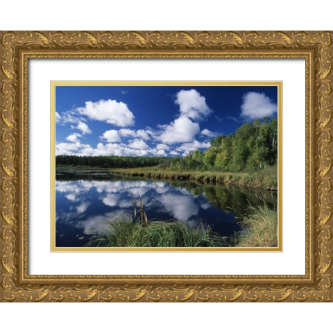 Canada, Saskatchewan,Prince Albert NP, Pond Gold Ornate Wood Framed Art Print with Double Matting by Grandmaison, Mike