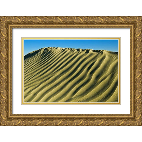 Canada, Great Sand Hills Pattern in sand dunes Gold Ornate Wood Framed Art Print with Double Matting by Grandmaison, Mike