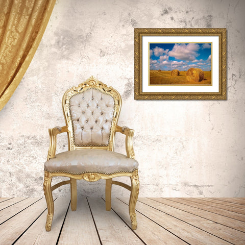Canada-Saskatchewan-Shellbrook Bale rolls and cumulus clouds on farmland Gold Ornate Wood Framed Art Print with Double Matting by Jaynes Gallery