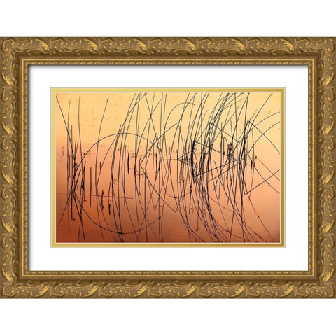 Canada-Saskatchewan-Saskatoon Island Provincial Park Reeds reflect on Saskatoon Lake at sunrise Gold Ornate Wood Framed Art Print with Double Matting by Jaynes Gallery