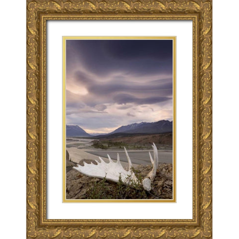 Canada, BC, Yukon, Moose antler and landscape Gold Ornate Wood Framed Art Print with Double Matting by Paulson, Don