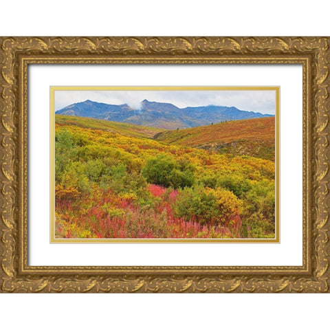 Canada-Yukon Autumn-colored hills and fog Gold Ornate Wood Framed Art Print with Double Matting by Jaynes Gallery