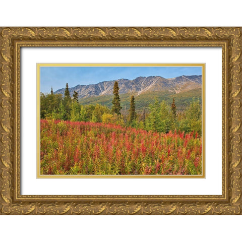 Canada-Yukon-Kluane National Park St Elias Mountains and forest landscape Gold Ornate Wood Framed Art Print with Double Matting by Jaynes Gallery