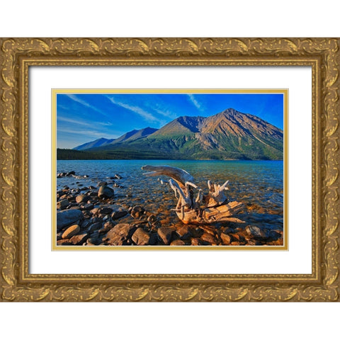 Canada-Yukon-Kluane National Park St Elias Mountains and driftwood on shore of Kathleen Lake Gold Ornate Wood Framed Art Print with Double Matting by Jaynes Gallery