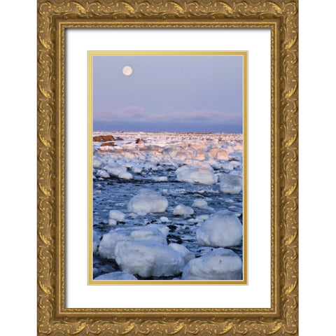 Canada, Hudson Bay Sunset and full moon rising Gold Ornate Wood Framed Art Print with Double Matting by Illg, Cathy and Gordon