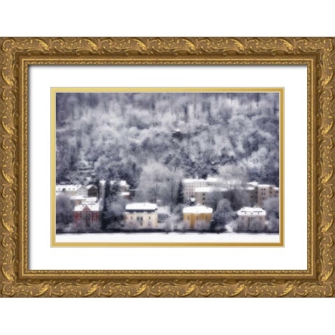 Austria, Salzburg Residences and snowy trees Gold Ornate Wood Framed Art Print with Double Matting by Young, Bill