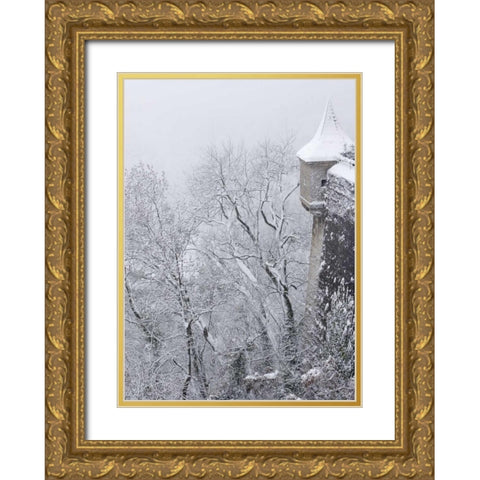 Austria, Salzburg Salzburg Castle wall in winter Gold Ornate Wood Framed Art Print with Double Matting by Young, Bill