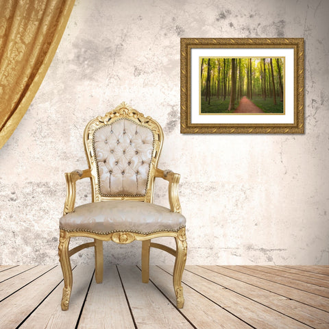 Europe-Belgium-Path in Hallerbos forest Gold Ornate Wood Framed Art Print with Double Matting by Jaynes Gallery