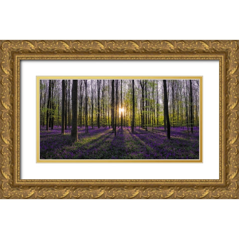 Europe-Belgium-Sunrise on Hallerbos forest with blooming bluebells Gold Ornate Wood Framed Art Print with Double Matting by Jaynes Gallery