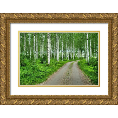 Finlandia-Savonlinna-dirt road in a birches forest Gold Ornate Wood Framed Art Print with Double Matting by Molinari, Michele
