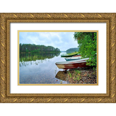 Finlandia-Savonlinna-lake bank and vegetation Gold Ornate Wood Framed Art Print with Double Matting by Molinari, Michele