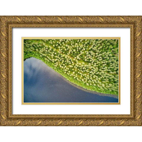 Finlandia-Savonlinna-aerial view-forest and lake Gold Ornate Wood Framed Art Print with Double Matting by Molinari, Michele