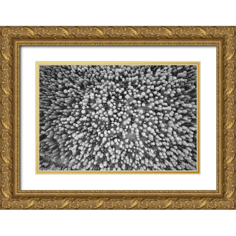 Finlandia-Savonlinna-aerial view Gold Ornate Wood Framed Art Print with Double Matting by Molinari, Michele